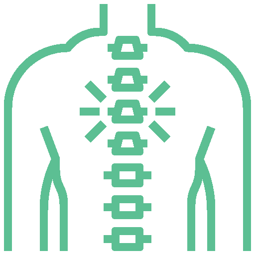 Traumatología y ortopedia columna y cadera